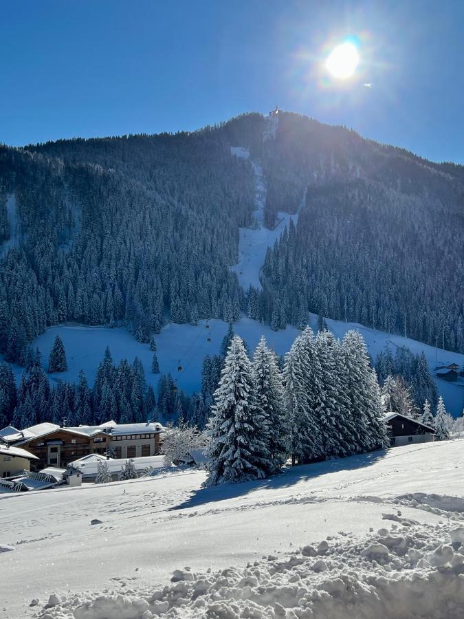 Surrounded By Green - Luxury Chalet At The Foot Of The Dolomites Διαμέρισμα La Villa  Εξωτερικό φωτογραφία